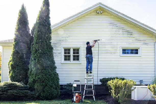 Best Window and Screen Pressure Cleaning in Marshalltown, IA